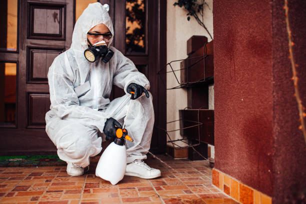 Reliable Wasp Removal contractor in Dunmore, PA by Show Me Pest Control
